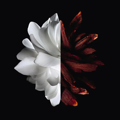 L'INTERDIT ROUGE Eau De Parfum – GIVENCHY